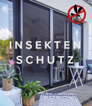 Insektenschutz Hell Desktop