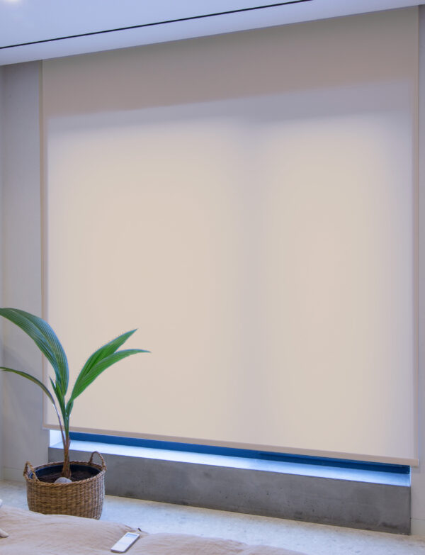 SunDeal® Rollo in Braun