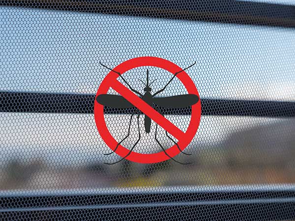 Insektenschutz nach Maß – Fliegengitter am Fenster hält Mücken draußen