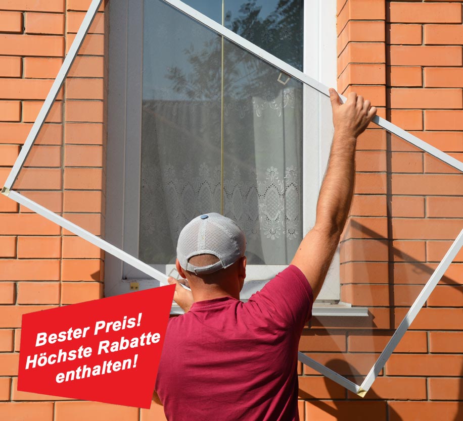 Insektenschutz für Fenster - als Rollo oder Spannrahmen nach Maß.