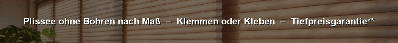 Plissees ohne Bohren nach Maß vom Plissee Experten kaufen.